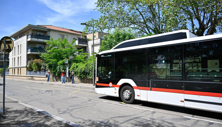 bus tcl gnv